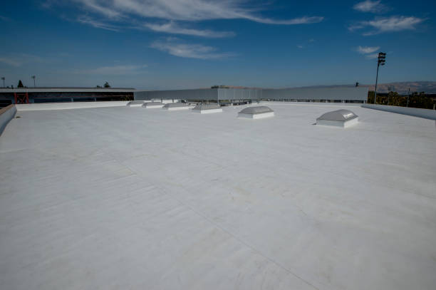 Best Roof Maintenance and Cleaning  in Trenton, FL
