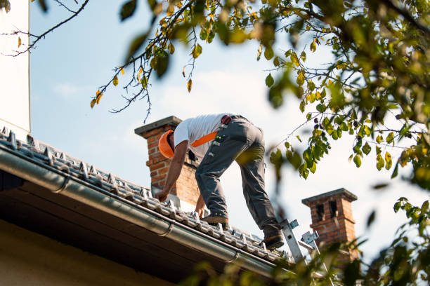 Best Storm Damage Roof Repair  in Trenton, FL