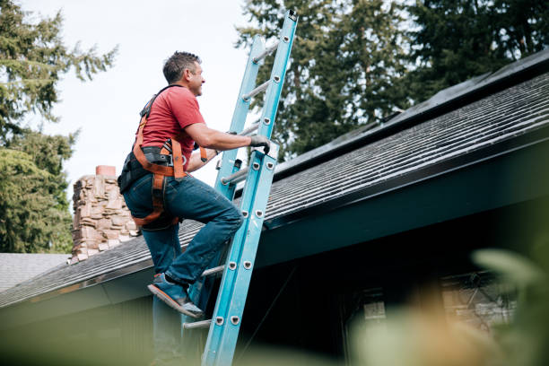 Best Solar Panel Roofing Installation  in Trenton, FL